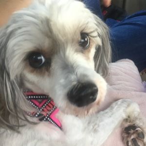 Meet your Posher, Lori